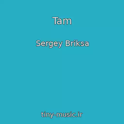 کاور آهنگ Tam از Sergey Briksa