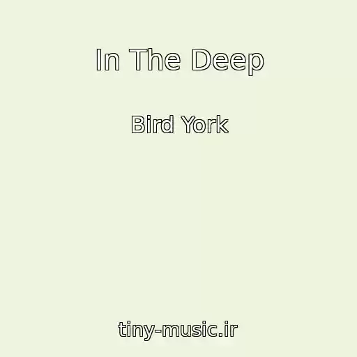 کاور آهنگ In The Deep از Bird York