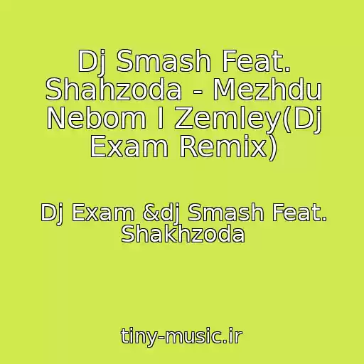 کاور آهنگ Dj Smash Feat. Shahzoda - Mezhdu Nebom I Zemley(Dj Exam Remix) از Dj Exam &dj Smash Feat. Shakhzoda