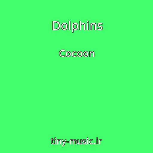 کاور آهنگ Dolphins از Cocoon