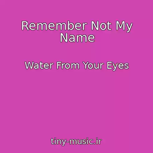 کاور آهنگ Remember Not My Name از Water From Your Eyes