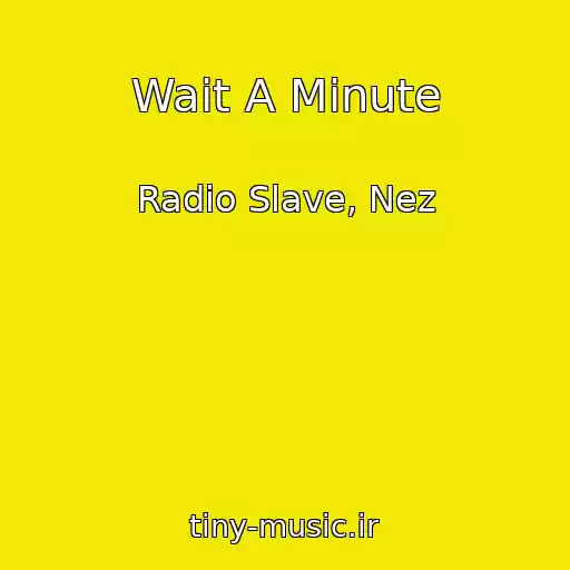 کاور آهنگ Wait A Minute از Radio Slave, Nez