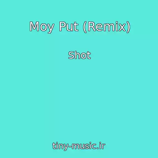 کاور آهنگ Moy Put (Remix) از Shot
