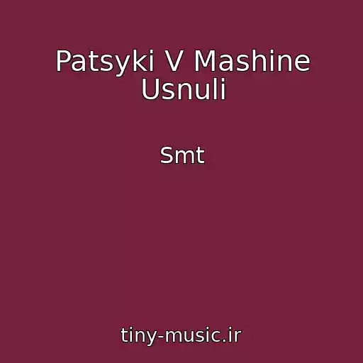 کاور آهنگ Patsyki V Mashine Usnuli از Smt