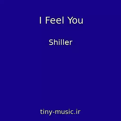کاور آهنگ I Feel You از Shiller
