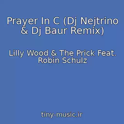کاور آهنگ Prayer In C (Dj Nejtrino & Dj Baur Remix) از Lilly Wood & The Prick Feat. Robin Schulz