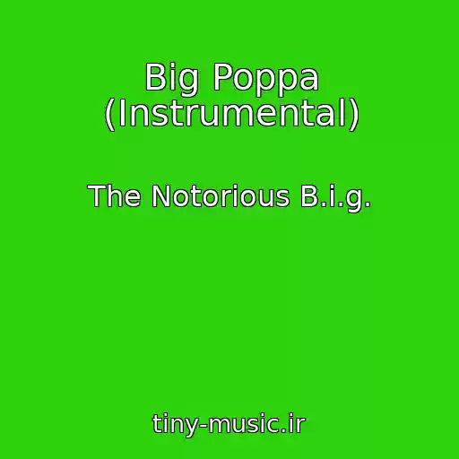 کاور آهنگ Big Poppa (Instrumental) از The Notorious B.i.g.