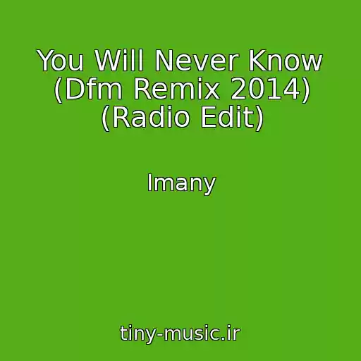 کاور آهنگ You Will Never Know (Dfm Remix 2014) (Radio Edit) از Imany
