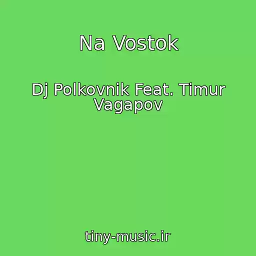 کاور آهنگ Na Vostok از Dj Polkovnik Feat. Timur Vagapov
