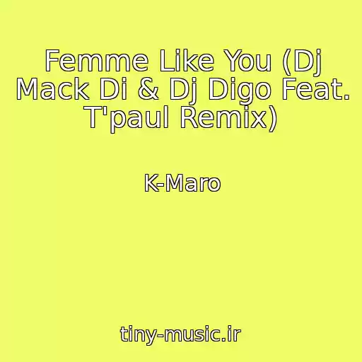 کاور آهنگ Femme Like You (Dj Mack Di & Dj Digo Feat. T'paul Remix) از K-Maro