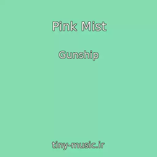 کاور آهنگ Pink Mist از Gunship