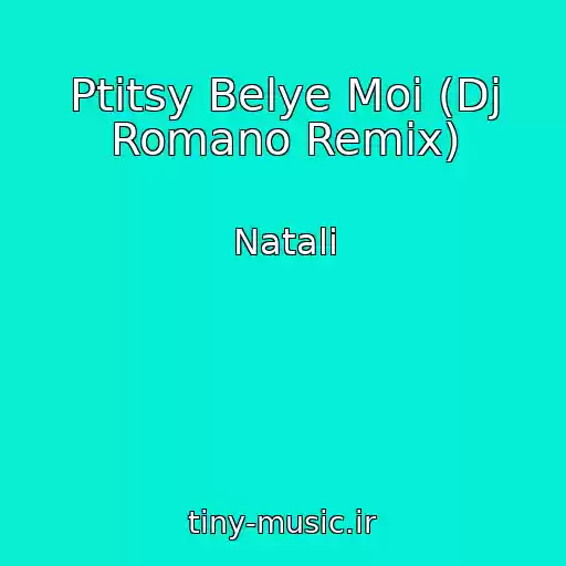 کاور آهنگ Ptitsy Belye Moi (Dj Romano Remix) از Natali