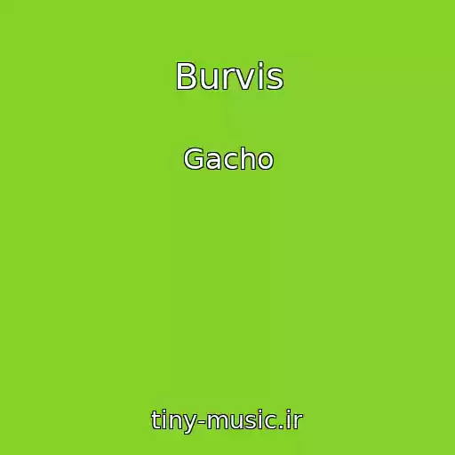 کاور آهنگ Burvis از Gacho