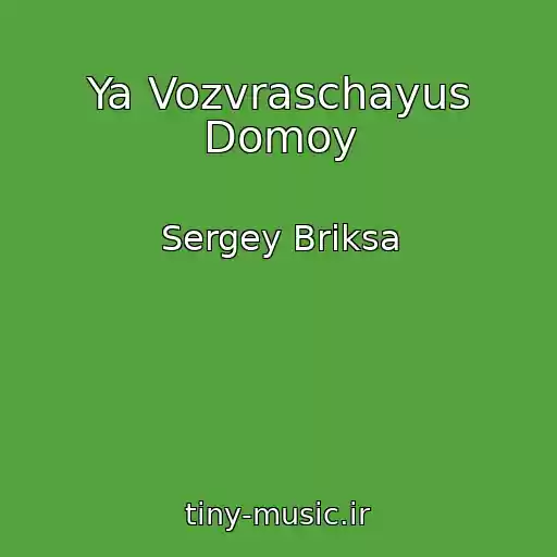 کاور آهنگ Ya Vozvraschayus Domoy از Sergey Briksa