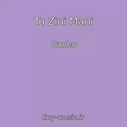 کاور آهنگ Tu Zini Mani از Gacho
