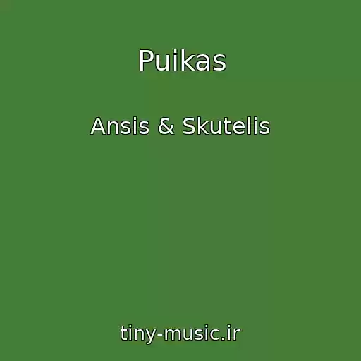 کاور آهنگ Puikas از Ansis & Skutelis