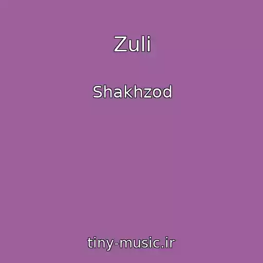 کاور آهنگ Zuli از Shakhzod