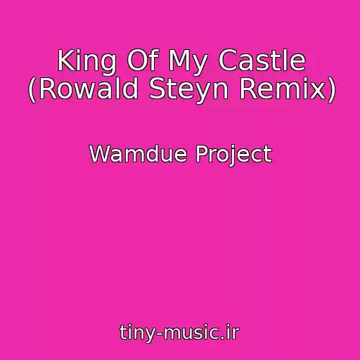 کاور آهنگ King Of My Castle (Rowald Steyn Remix) از Wamdue Project