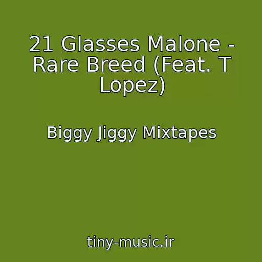 کاور آهنگ 21 Glasses Malone - Rare Breed (Feat. T Lopez) از Biggy Jiggy Mixtapes