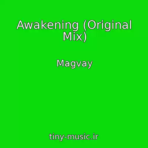 کاور آهنگ Awakening (Original Mix) از Magvay