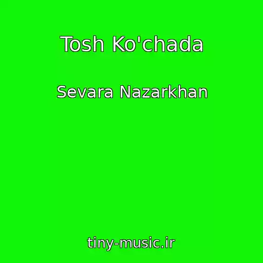 کاور آهنگ Tosh Ko'chada از Sevara Nazarkhan