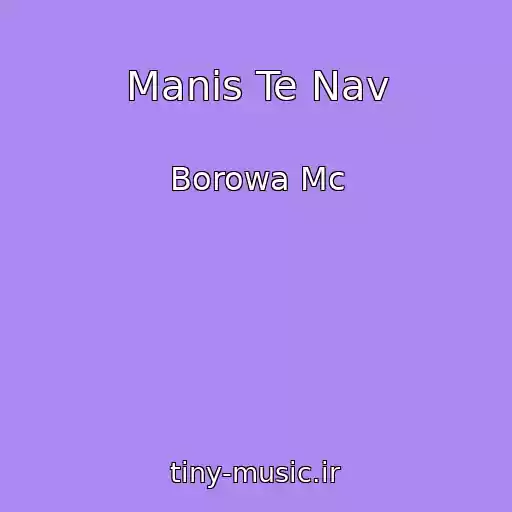 کاور آهنگ Manis Te Nav از Borowa Mc