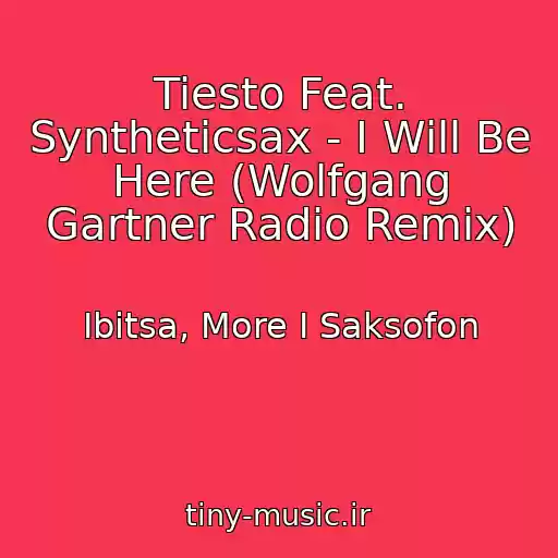 کاور آهنگ Tiesto Feat. Syntheticsax - I Will Be Here (Wolfgang Gartner Radio Remix) از Ibitsa, More I Saksofon