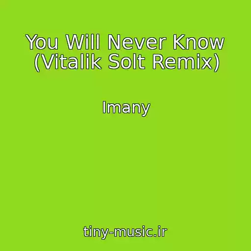 کاور آهنگ You Will Never Know (Vitalik Solt Remix) از Imany