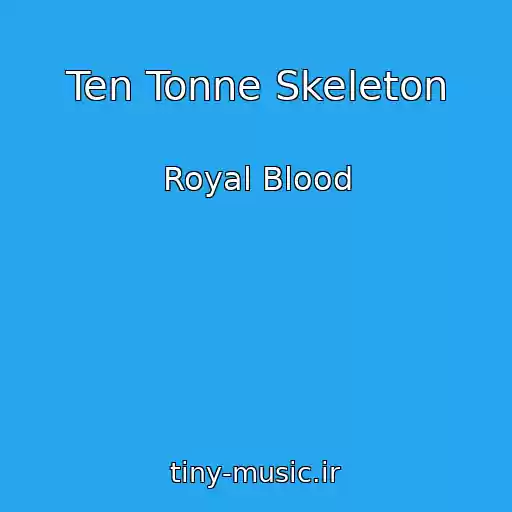 کاور آهنگ Ten Tonne Skeleton از Royal Blood