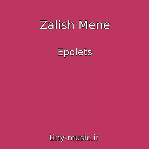 کاور آهنگ Zalish Mene از Epolets