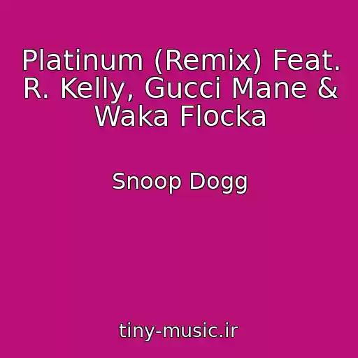 کاور آهنگ Platinum (Remix) Feat. R. Kelly, Gucci Mane & Waka Flocka از Snoop Dogg