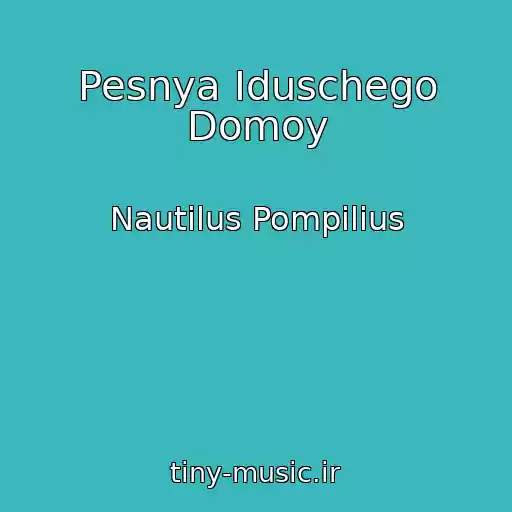 کاور آهنگ Pesnya Iduschego Domoy از Nautilus Pompilius