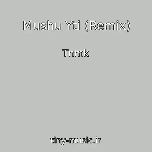 کاور آهنگ Mushu Yti (Remix) از Tnmk