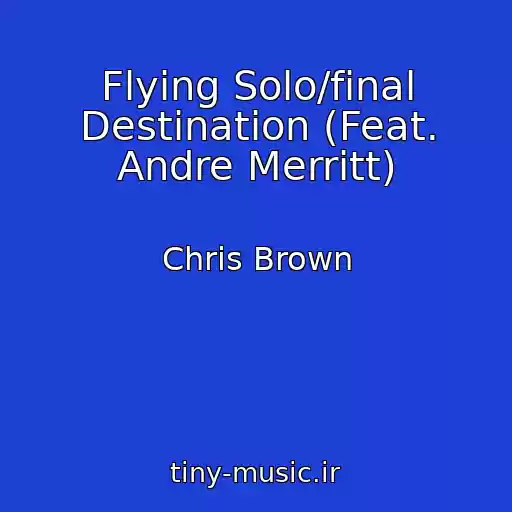 کاور آهنگ Flying Solo/final Destination (Feat. Andre Merritt) از Chris Brown