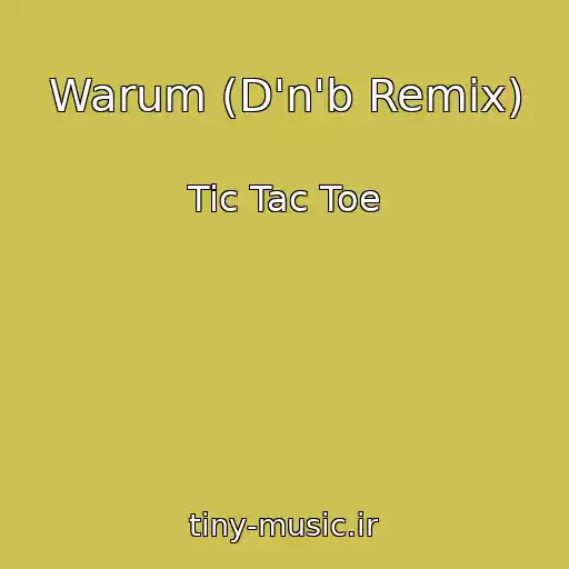 کاور آهنگ Warum (D'n'b Remix) از Tic Tac Toe