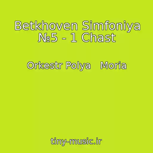 کاور آهنگ Betkhoven Simfoniya №5 - 1 Chast از Orkestr Polya   Moria