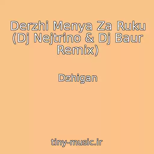 کاور آهنگ Derzhi Menya Za Ruku (Dj Nejtrino & Dj Baur Remix) از Dzhigan
