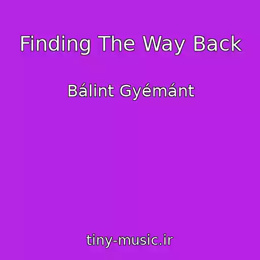 کاور آهنگ Finding The Way Back از Bálint Gyémánt