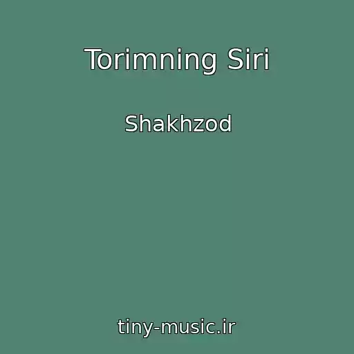 کاور آهنگ Torimning Siri از Shakhzod