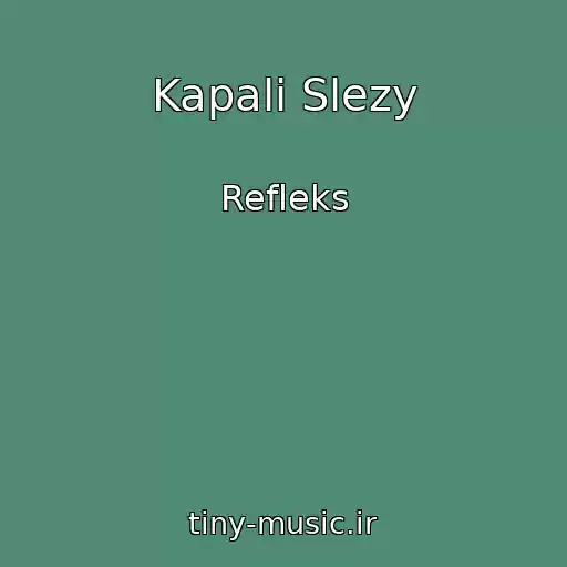 کاور آهنگ Kapali Slezy از Refleks