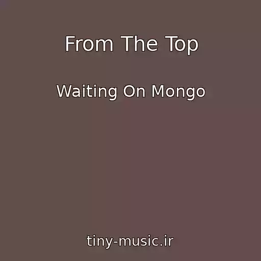 کاور آهنگ From The Top از Waiting On Mongo