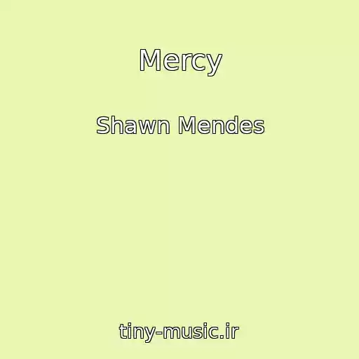 کاور آهنگ Mercy از Shawn Mendes