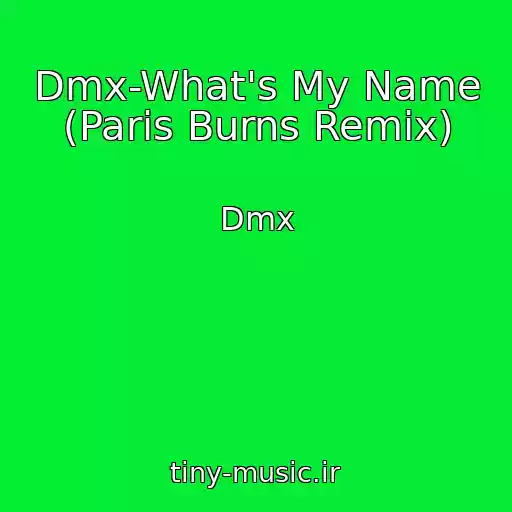 کاور آهنگ Dmx-What's My Name (Paris Burns Remix) از Dmx