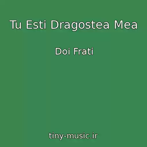 کاور آهنگ Tu Esti Dragostea Mea از Doi Frati