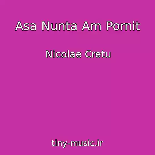 کاور آهنگ Asa Nunta Am Pornit از Nicolae Cretu
