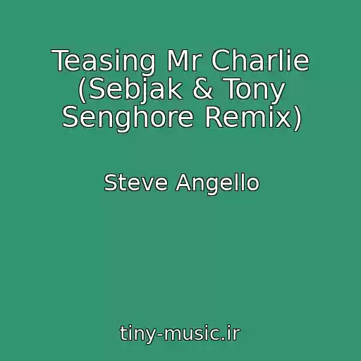 کاور آهنگ Teasing Mr Charlie (Sebjak & Tony Senghore Remix) از Steve Angello