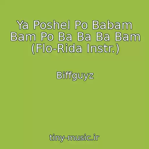 کاور آهنگ Ya Poshel Po Babam Bam Po Ba Ba Ba Bam (Flo-Rida Instr.) از Biffguyz