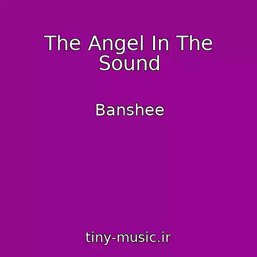 کاور آهنگ The Angel In The Sound از Banshee