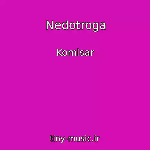 کاور آهنگ Nedotroga از Komisar
