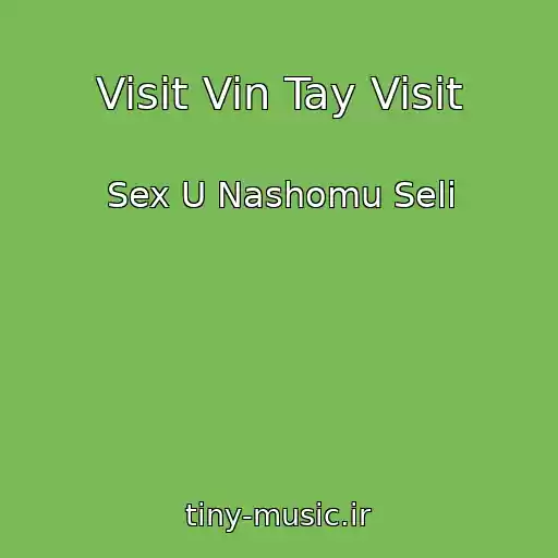 کاور آهنگ Visit Vin Tay Visit از Sex U Nashomu Selі